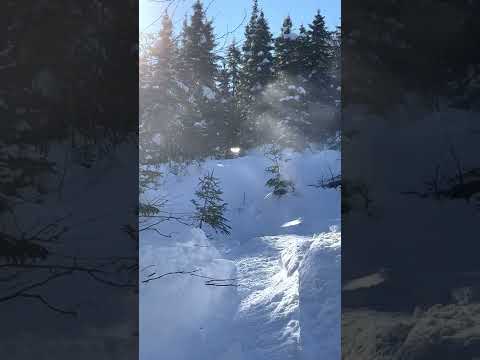 Polaris PRO RMK