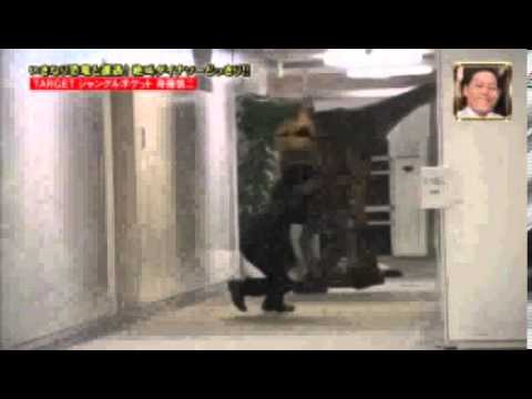 japanese-jurassic-prank