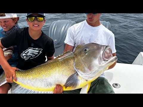 BIGGEST FISH ever Caught on Spinning Tackle!!! 