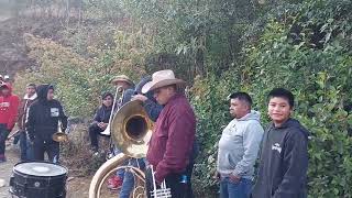 asi recorrieron las bandas en las calles principales la escopeta peras TROMPETISTA ALEGRE OFICIAL