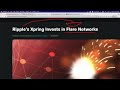 XRP, 플레어 네트워크, 스텔라 : 인류를 지배하게 될 3가지 네트워크 시리즈 결국 하나로 합쳐져서 피닉스 처럼 나라갈것