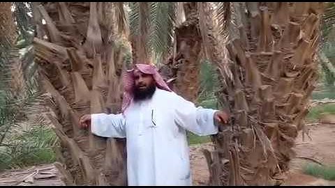 دحيم الحماد من أذكار المساء والصباح 🌹🌳🌿١٤٣٧هـ