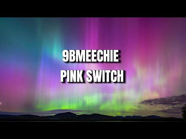 9BMEECHIE - PINK SWITCH LYRICS