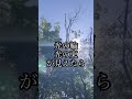 なぜか『願いが叶う』パワースポット⛩金峯神社⛩見れたら幸運!