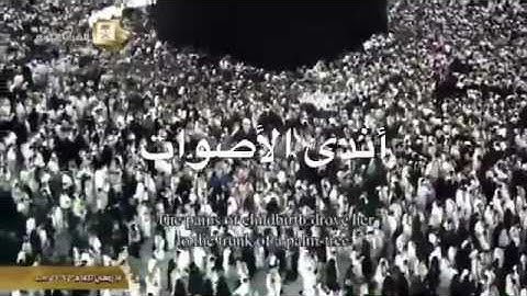 ~فَأَتَتْ بِه قَوْمَهَا تَحْمِلُهُ~ تلاوة جميلة للشيخ ياسر الدوسري من الحرم المكي