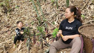 Harvesting & Preserving Fresh Bamboo Shoots | Build My Daily Life