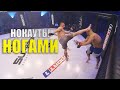 Нокауты Ногами в ММА / High Kick knockouts #2