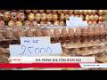 Giá trứng giảm sâu, người chăn nuôi gặp khó | VTV24