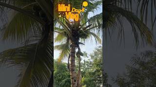 Mera Simple Ghar Ka Routine | Real Life Vlog #gharkaroutine #dailylife #simpleliving #indianhome