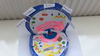 Hayvan Hücresi Modeli