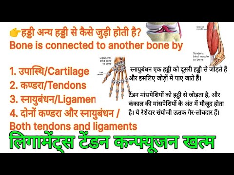 वीडियो: क्या मांसपेशियों को हड्डी से दोबारा जोड़ा जा सकता है?