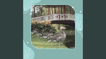 Outstanding Backdrops for Recharging Routines