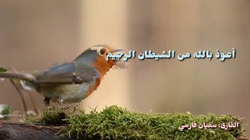 تلاوة مجودة رائعة بصوت /القارئ: سفيان فارسي