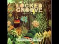 Locked Groove - Do It Anyway [HF038]