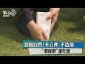 回歸自然！不立碑、不造墳 「環保葬」逐年增