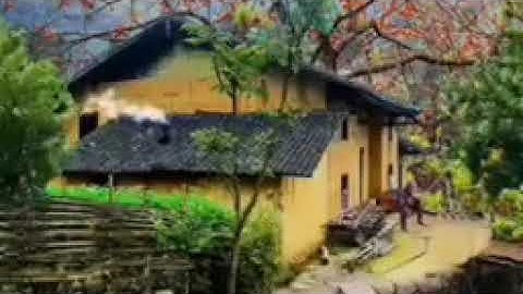 (سورة التين)تلاوة هادئة #حسام الدين عبادي