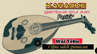 KARAOKE LAMPUNG // Wai Tebu // cipta : saleh Gunawan no vokal persi gambus piul asli