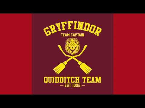 Gryffindor Quidditch Team Part-2