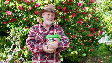 The Garden Gurus - Maintaning Your Prized Garden