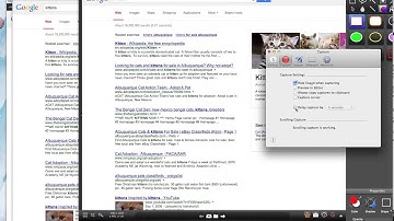 Screen Capture Example