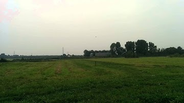 250 Pro - Maiden Flight