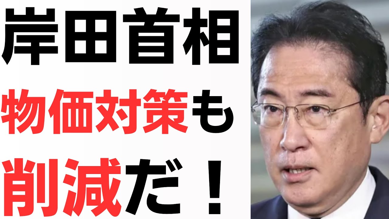 岸田首相・物価高騰対策も削減だ！を扱う動画のサムネイル