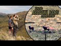 Point  shoot hunting arapawa rams in new zealand 4k