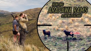 Point & Shoot: Hunting Arapawa Rams in New Zealand (4K)
