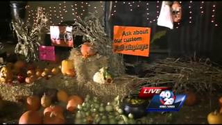Halloween safety tips