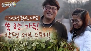 (살어리랏다3) 17살 연하 아내와의 쑥향 가득 러브스토리(전남 함평)