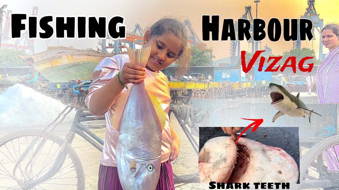 Fishing harbour vizag fishing big tuna fish cutting catching