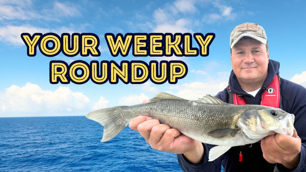 Где же обсуждение ловли окуня и зимней рыбалки в сообществе? Спасибо.