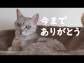 チャンネル終了のお知らせ