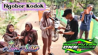 ANDI PUTRA 1 Ngobor Kodok Voc Aan Anisa Live Pasir Muncang Cikaum Tgl 24 Desember 2022