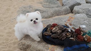 What Happens When You Go Fishing With a Puppy That Eats Bait