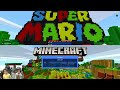 Minecraft Mario Mash Up