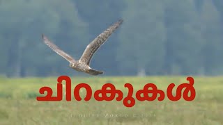 ചിറകുകൾ | Malayalam Short Film | Drug Abuse