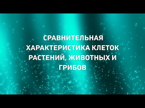 СРАВНЕНИЕ КЛЕТОК РАСТЕНИЙ, ЖИВОТНЫХ И ГРИБОВ