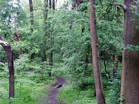 Park Duchacki pięknieje