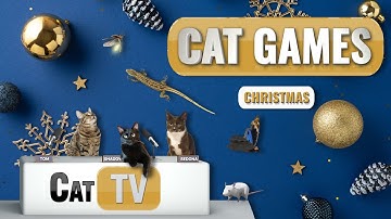 🎅 Kerstspelletjes voor katten | 🐾 Versier de pootjes | 🎄 Ultieme compilatie van katten-tv | 8 uur