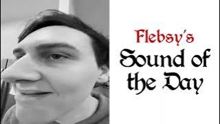 Flebsy sound of the day