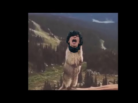 ラッキービーバー米津玄師