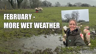 Mud , sheep and concern! by Dale Farm 10,803 views 2 months ago 20 minutes
