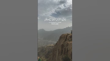 جزء من سورة الحج| القارئ ماهر المعيقلي | اكتب شيء تؤجر عليه | القران الكريم