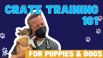 Crate Training for Puppies and Dogs Part 1