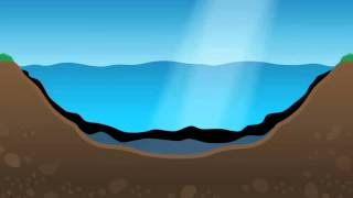 Pond Turn Over