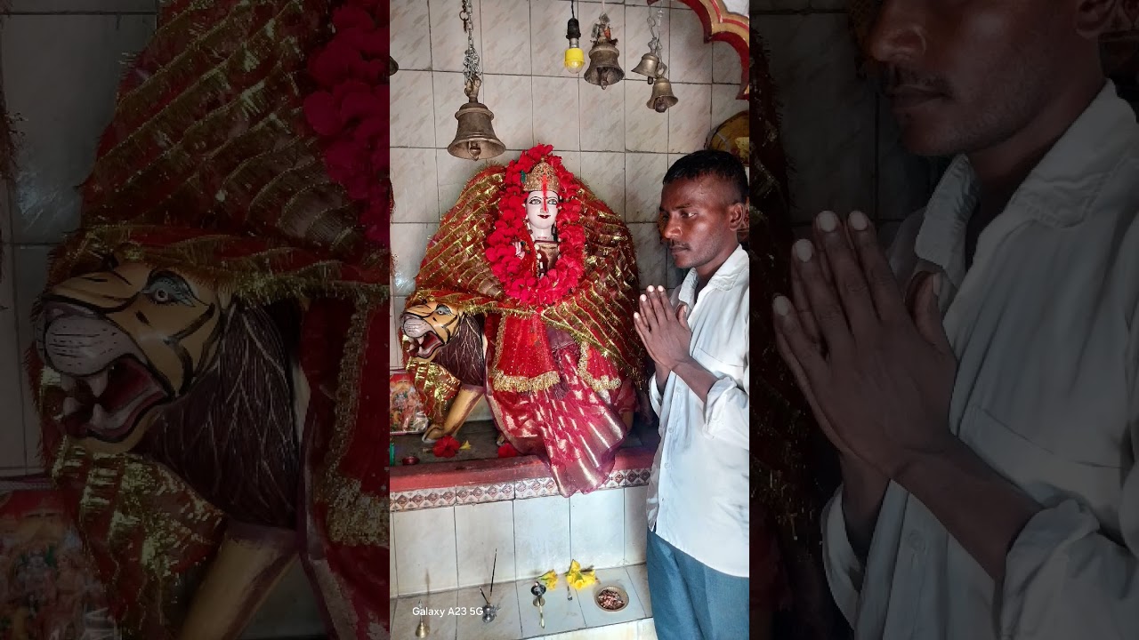 बाघवा आइल बा#tuntun yadav #navratri status #short navratri #durga ashtmi song #durga maa song