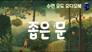 20분 이내 잠드는🤭 아름다운🌟 소설 낭독 [좁은 문]