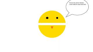 Blaze Dady Is An Owl