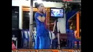 Cidra 2 - Ana - LORSSA